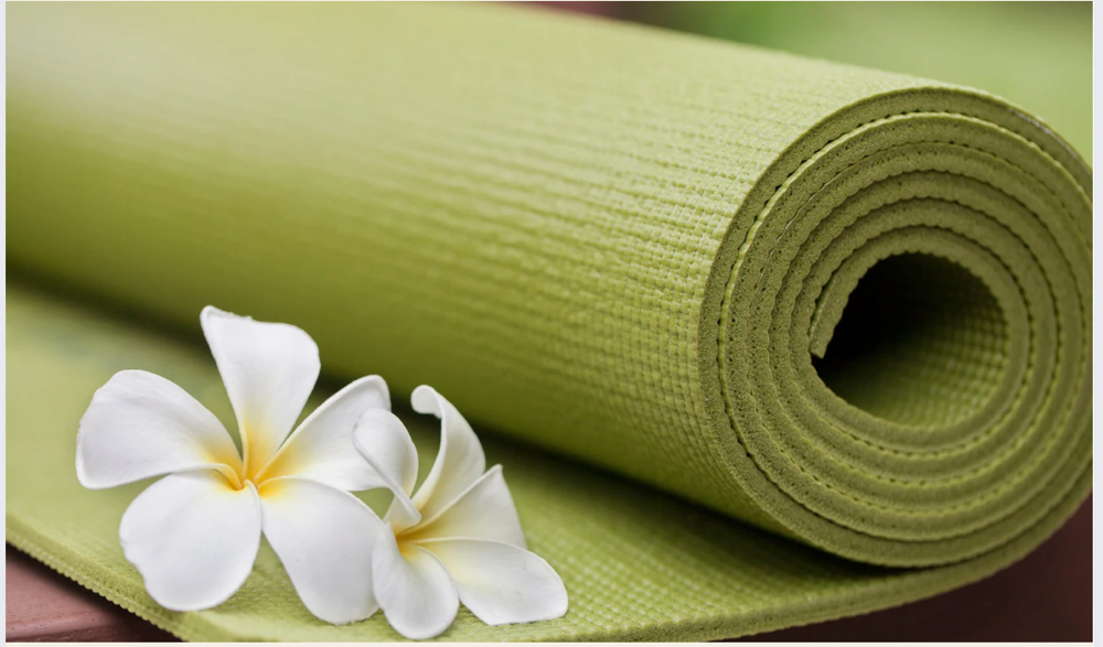 Yoga & Somatic Movement Session