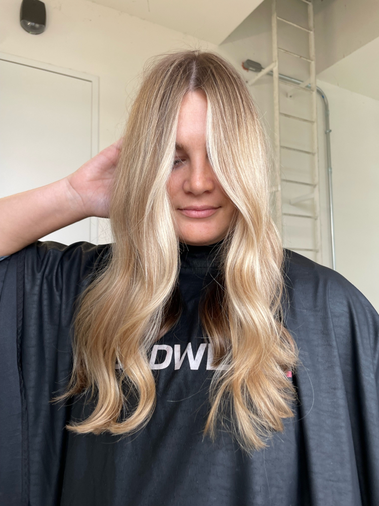 Face Frame Balayage + Blowdry