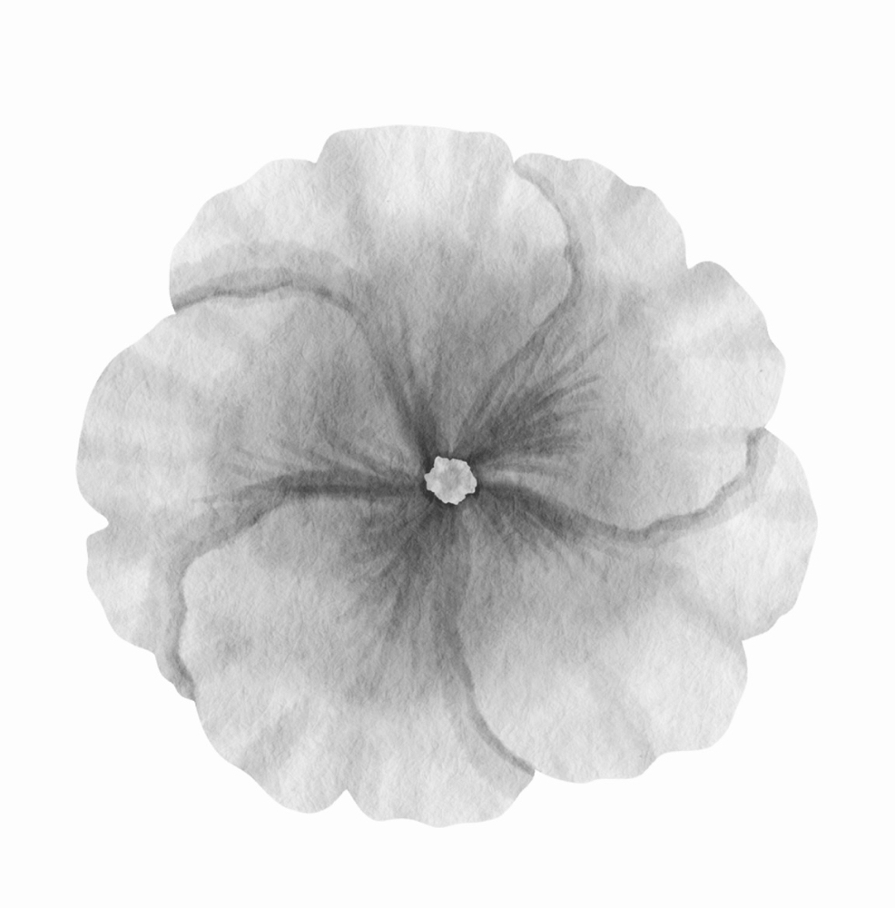 Custom Chemical Peel w/out Facial