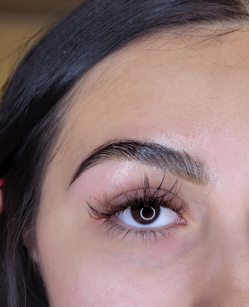 Brow Lammy + Tint + Cleanup