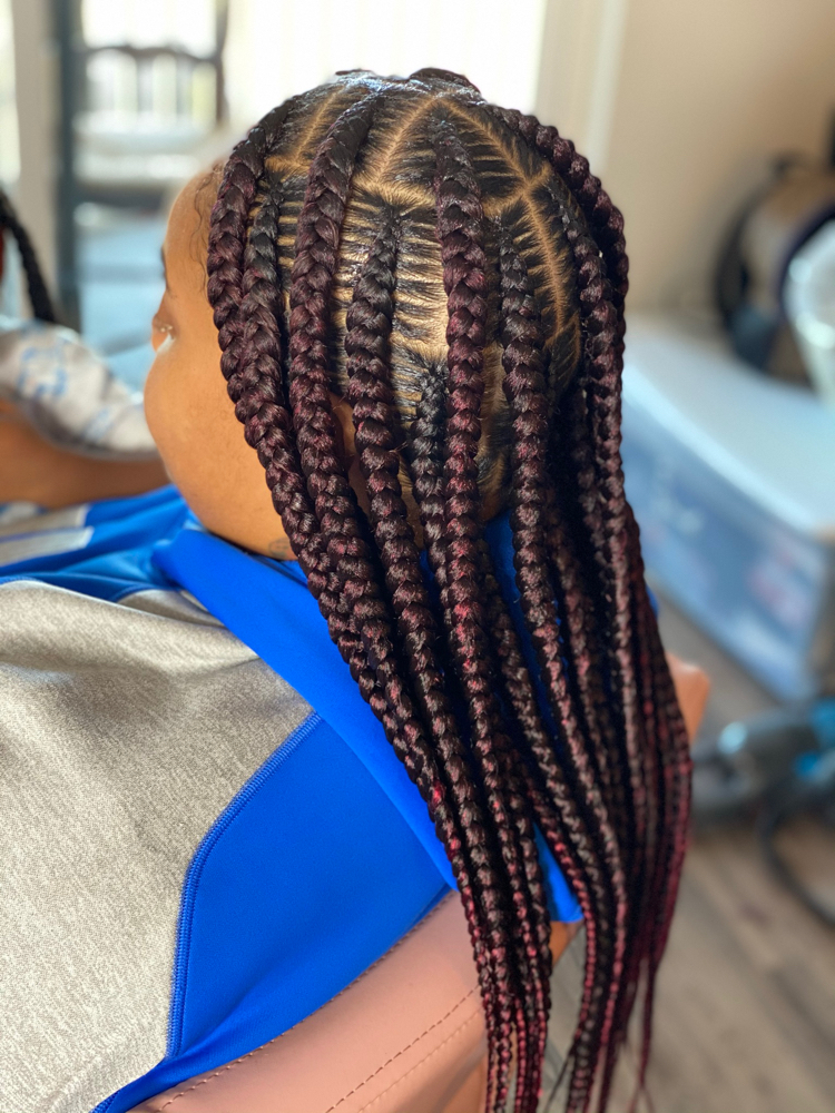 4 Layer Lard Feed In Braids