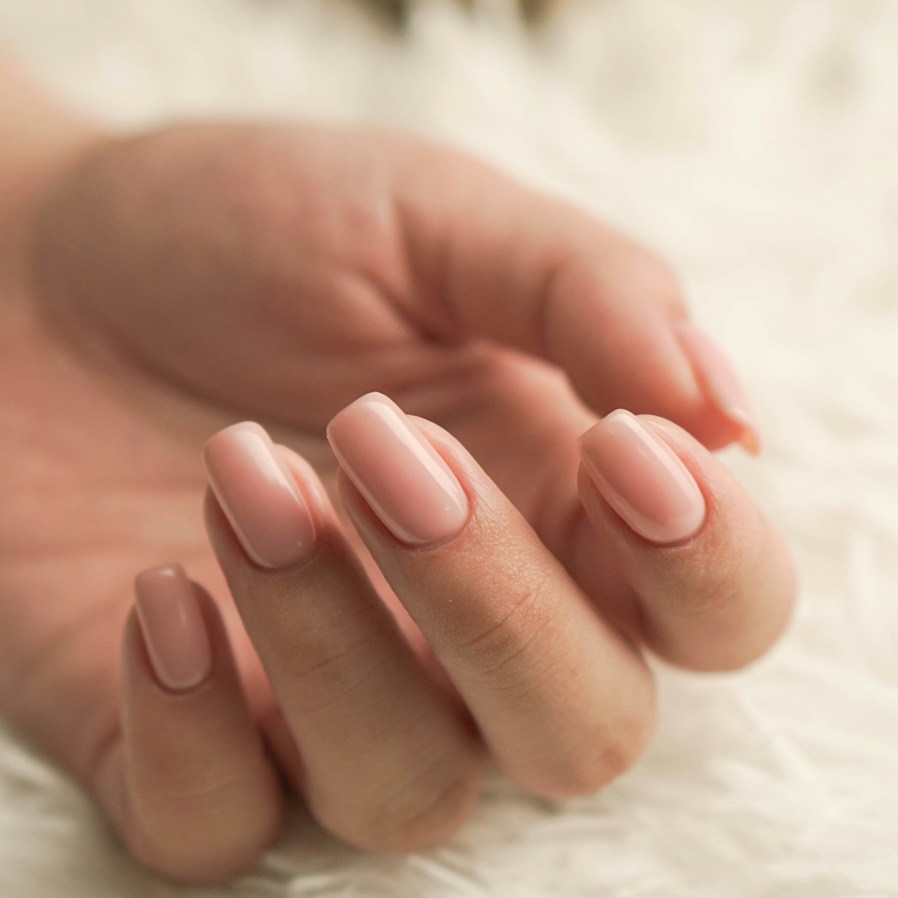MANICURES & OVERLAYS at Blue Lotus Nails | ✨Now Booking (Mon., Wed., Thurs., Sat.) in Caldwell, ID