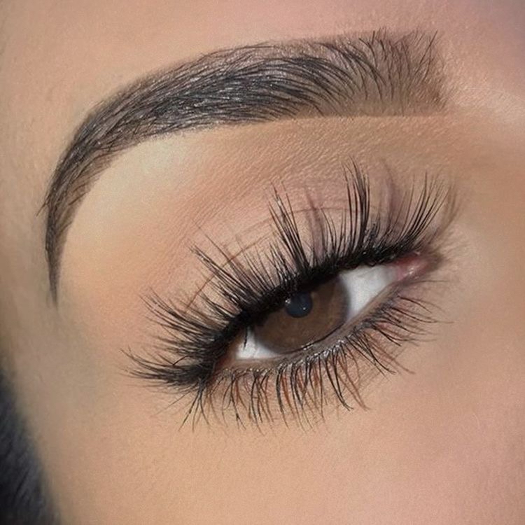 Makeup With Lashes In Salon