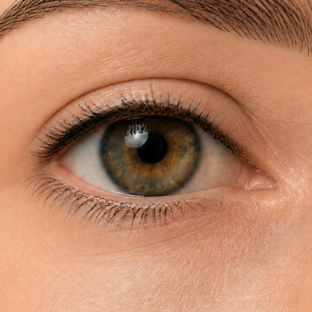 Eyelash Enhancement Liner at Everwell Cosmetic Tattoo Studio in Caribou, ME