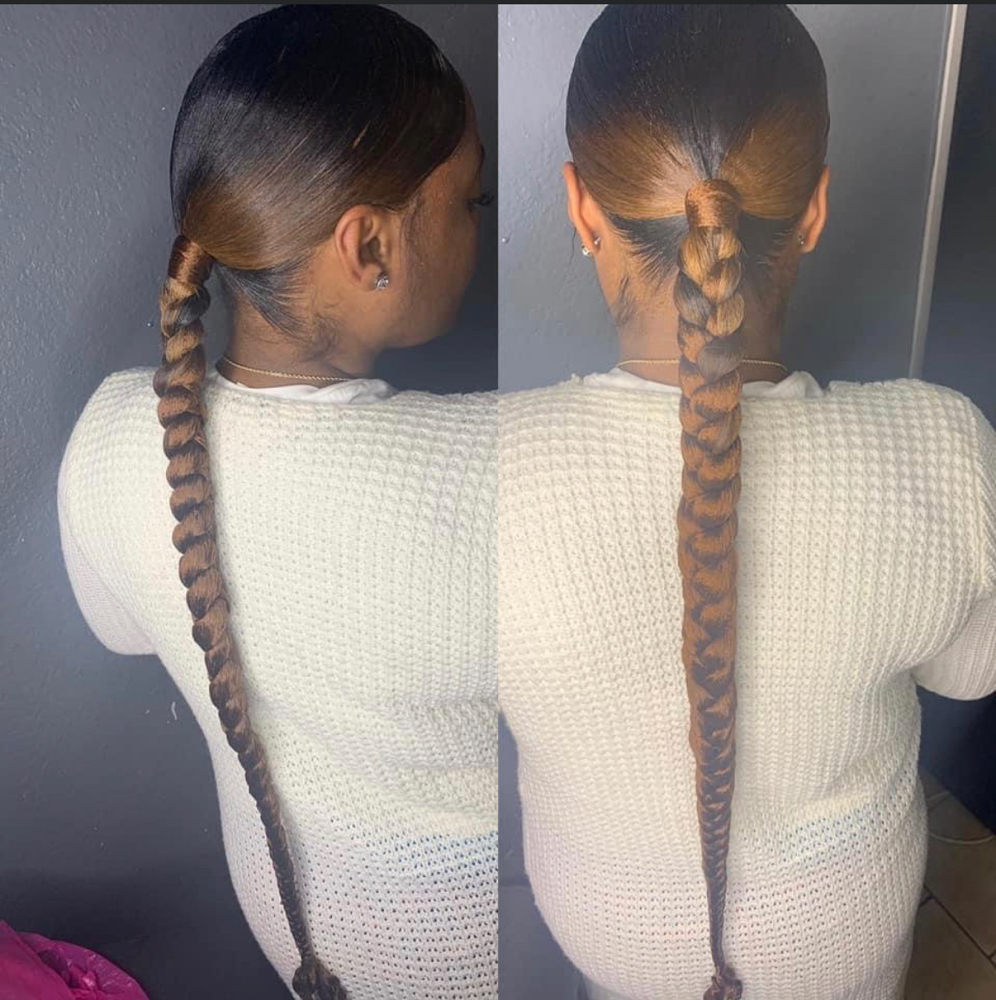 Braided Sleek Ponytail