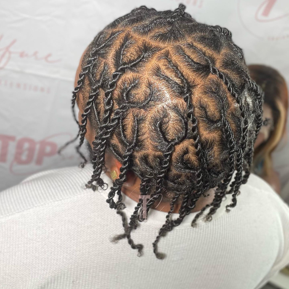Medium Plaits