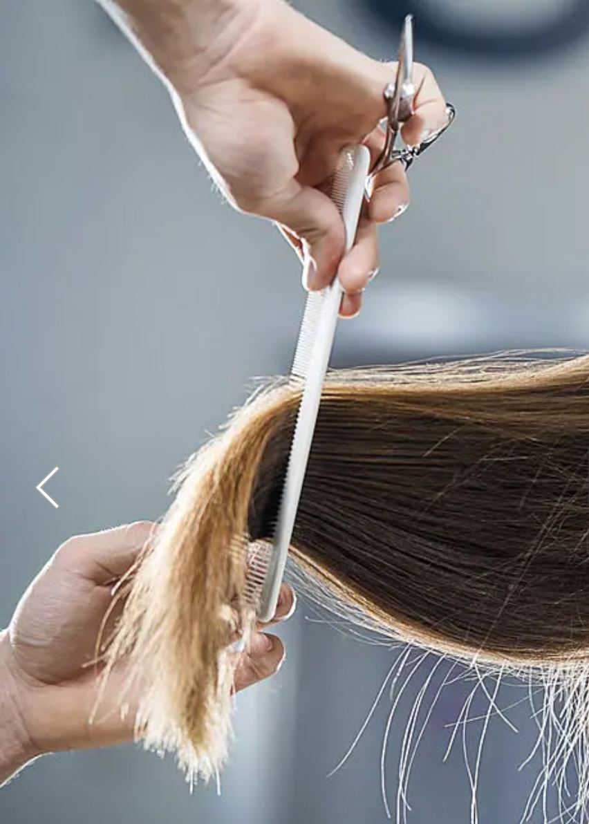 Haircut And Style