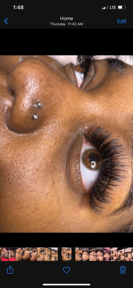 Volume Lashes