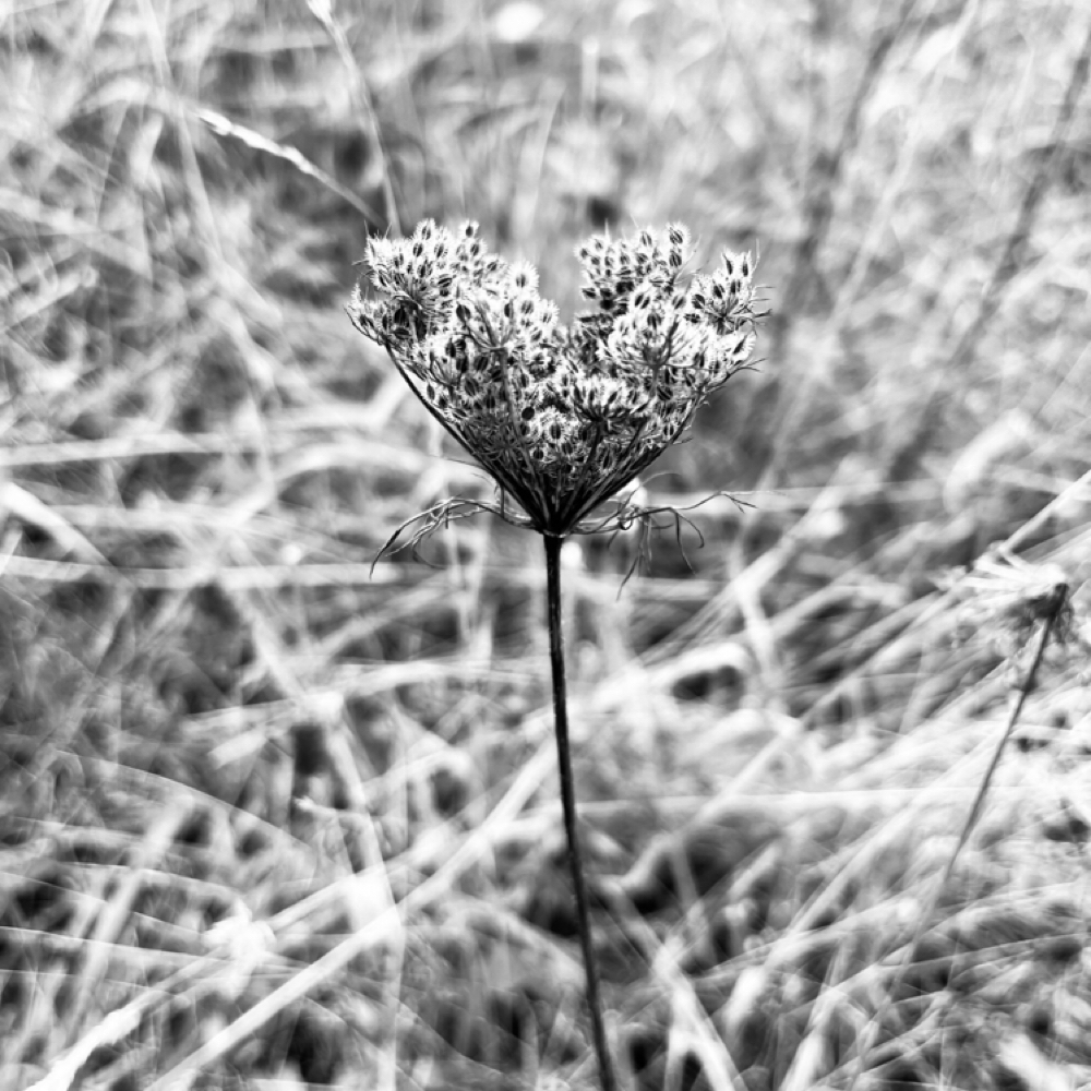 Holistic Haircut Consultation at Jessamine Gisele Beauty Studio in Gresham, OR