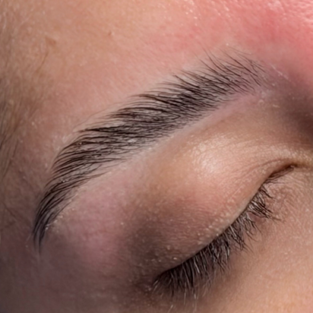 Signature Brow Wax (Wax Only) at The Sknn Paige in Columbia, SC