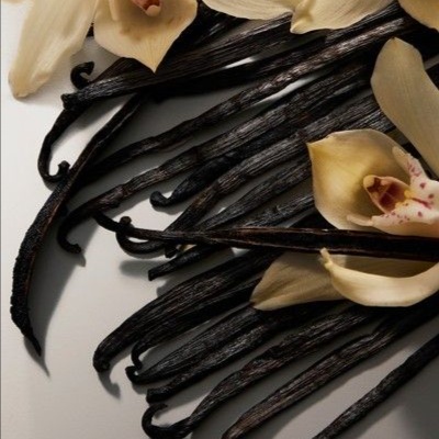 Vanilla Scent at Hoosier Bronze Co. | Indiana Spray Tans