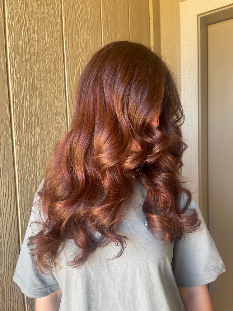 All Over Color at Rooted Love Beauty co in Williams, AZ