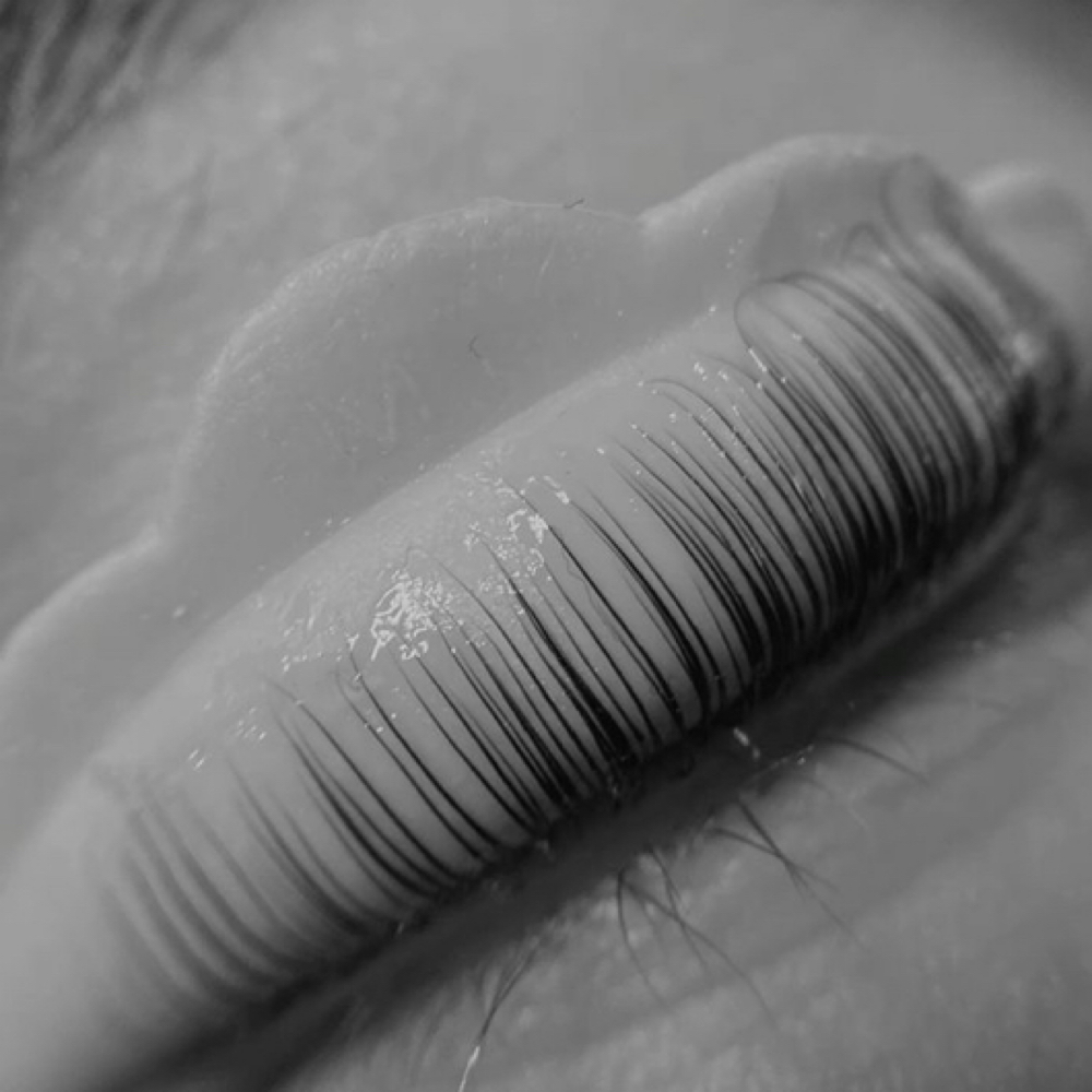 6-10 week lash lift refresh at ora brow & lash studio in Fenton, MI