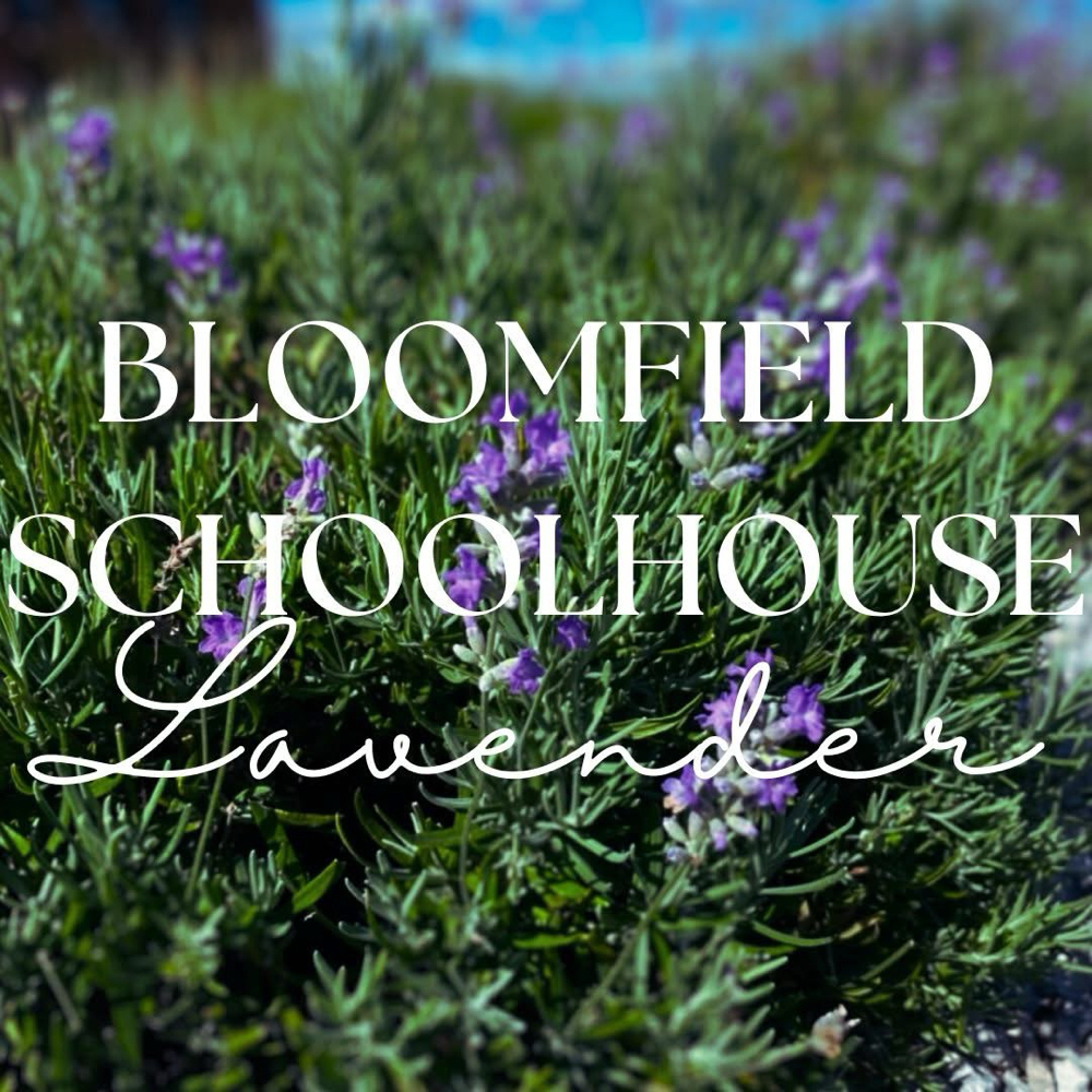 Bloomfield Lavender Facial-60M
