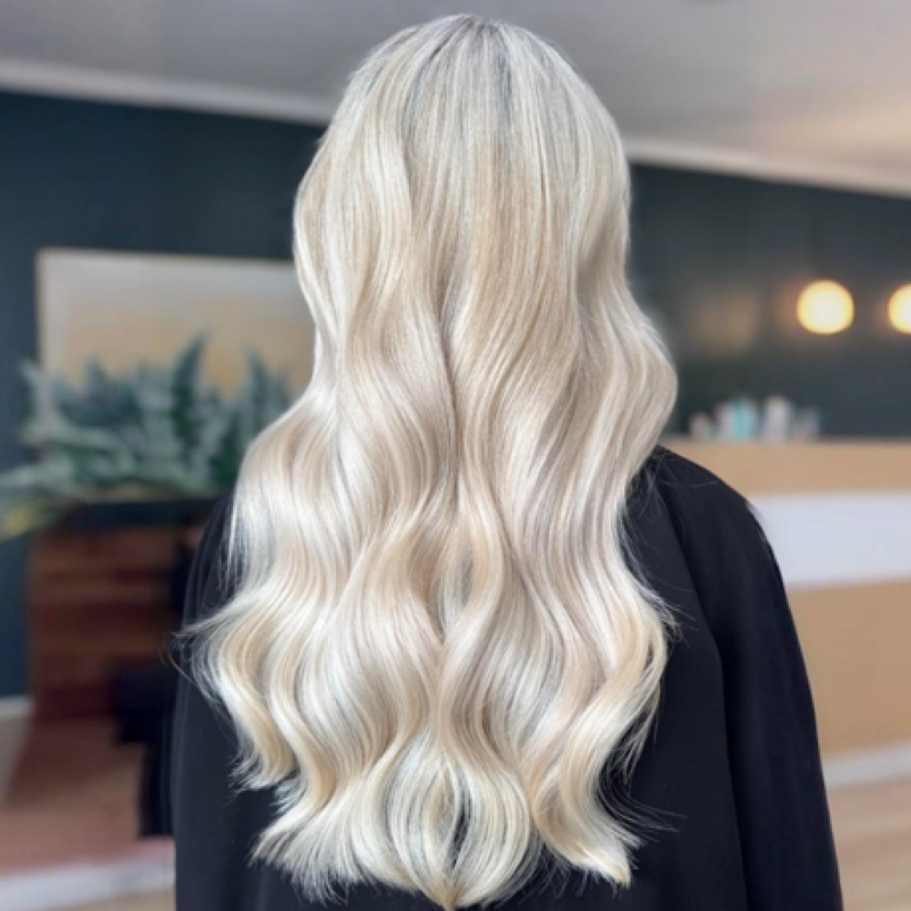 Full Head Blonding NO Cut $275+ at Full Bloom Salon in Slaughter, LA