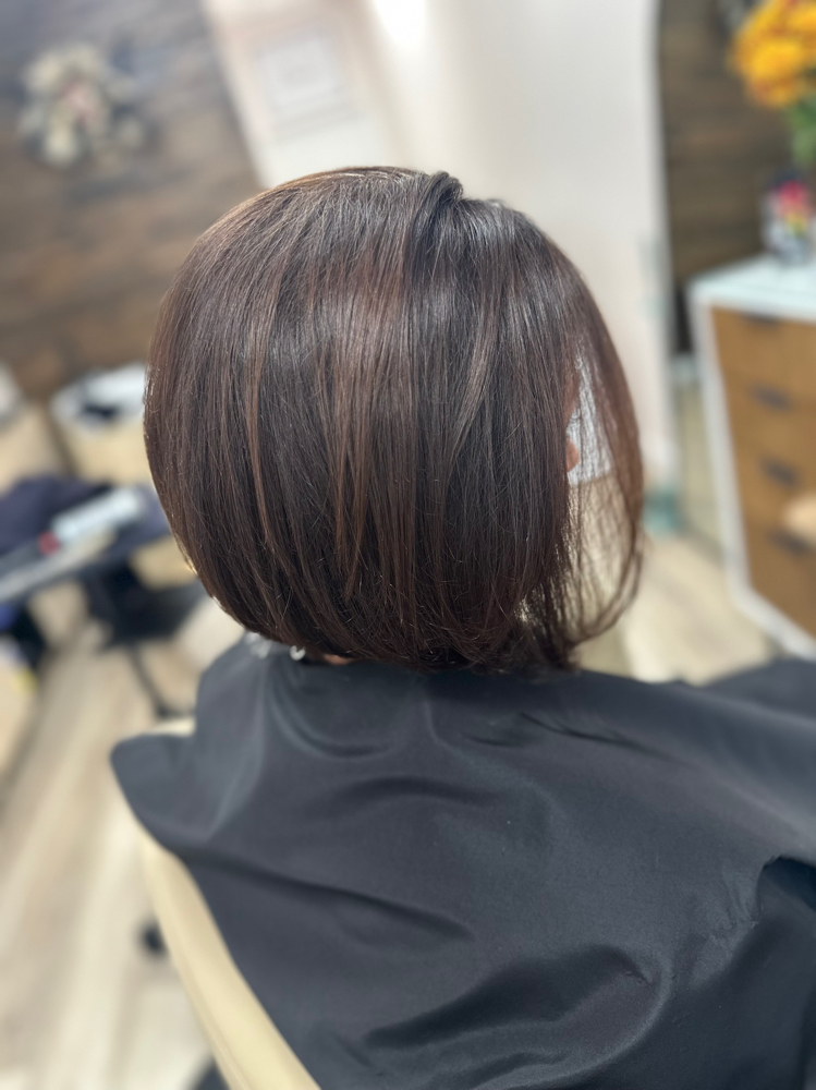 Base Color With Blowdry Only