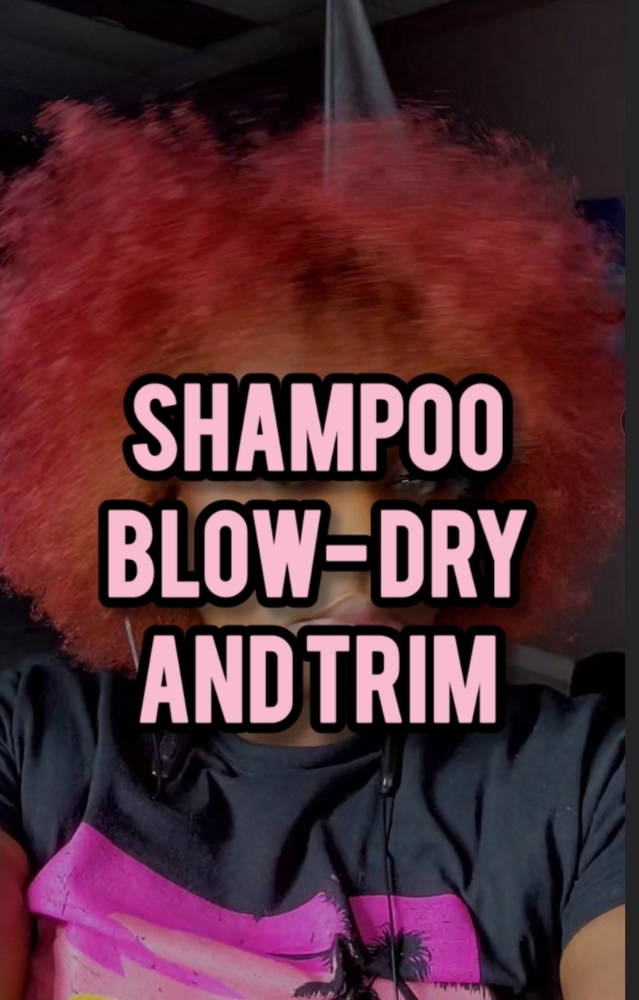 Shampoo,  Blow Dry, Trim