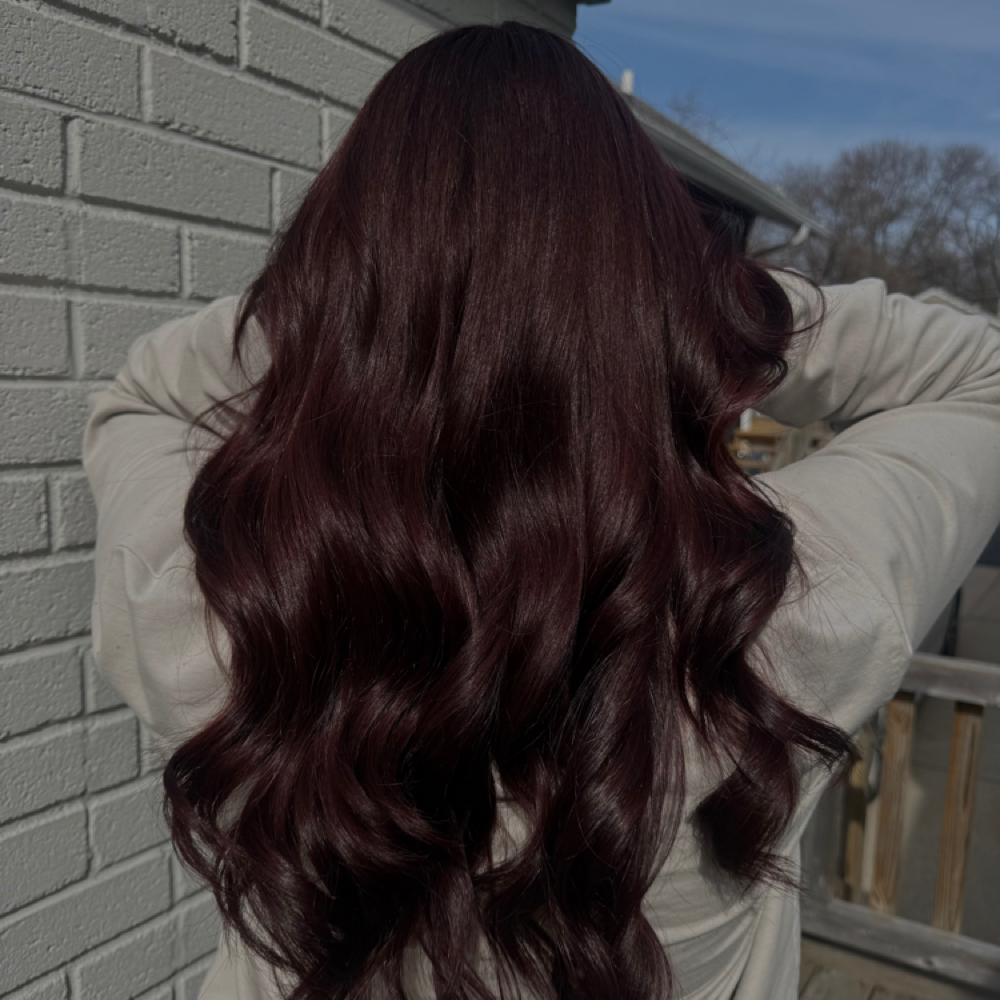 Solid Color at Tay Slays Hair in Milwaukee, WI