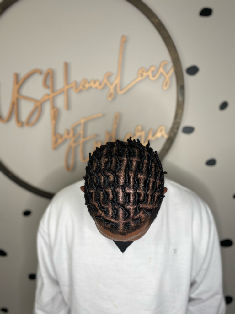 Starter locs