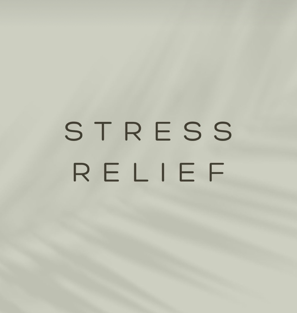 Stress Relief Experience