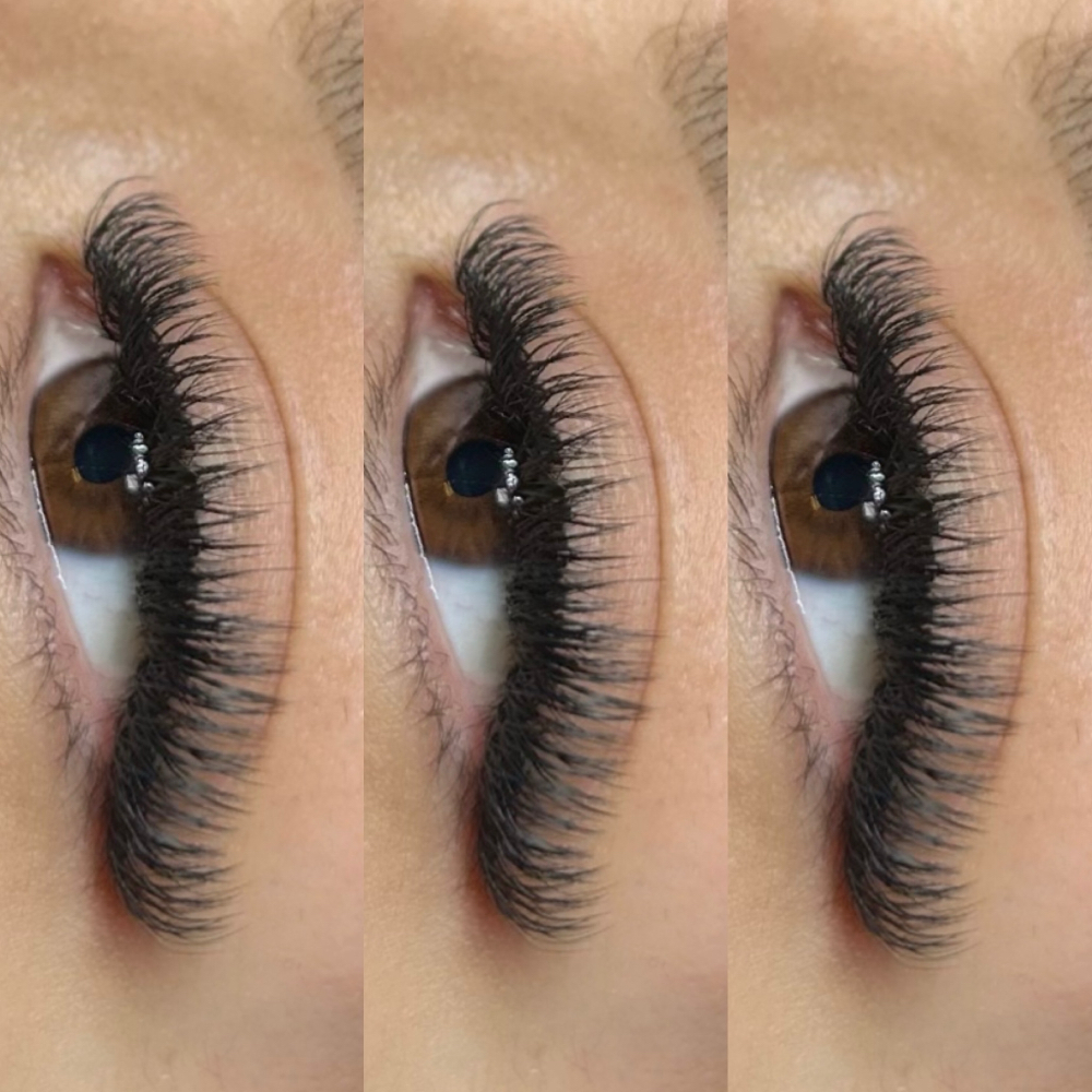 Transfer/foreign Fill