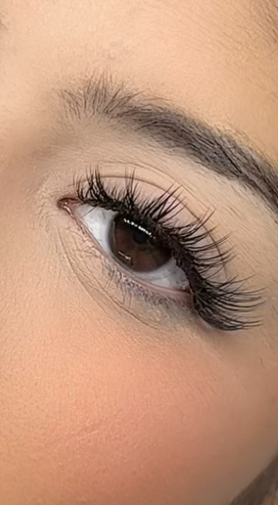 Ardell Wispy FILL