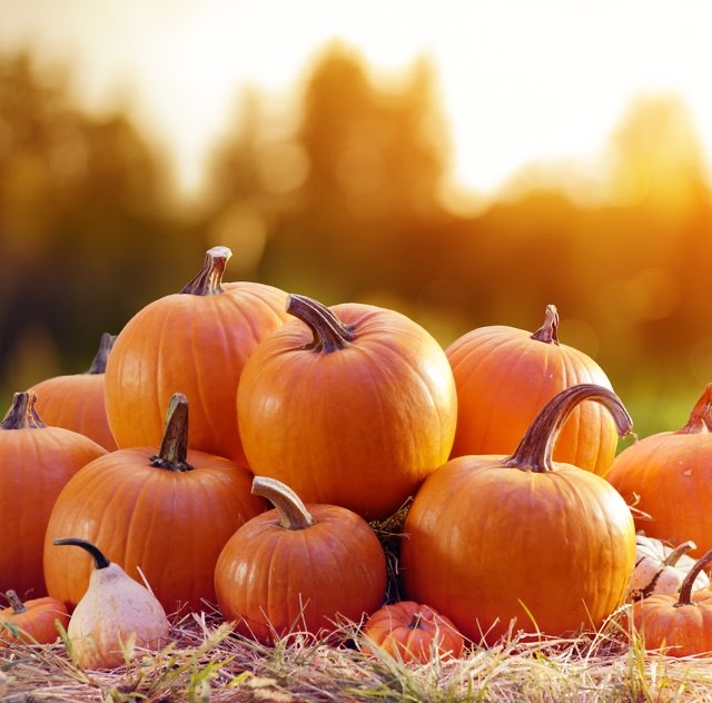 New Fall Pumpkin Exfoliation Facial