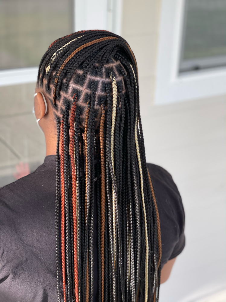 Indys Finest  Fulani braids (30 & 1B color mix)♥️ #neatbraid