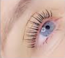 Lash Tint