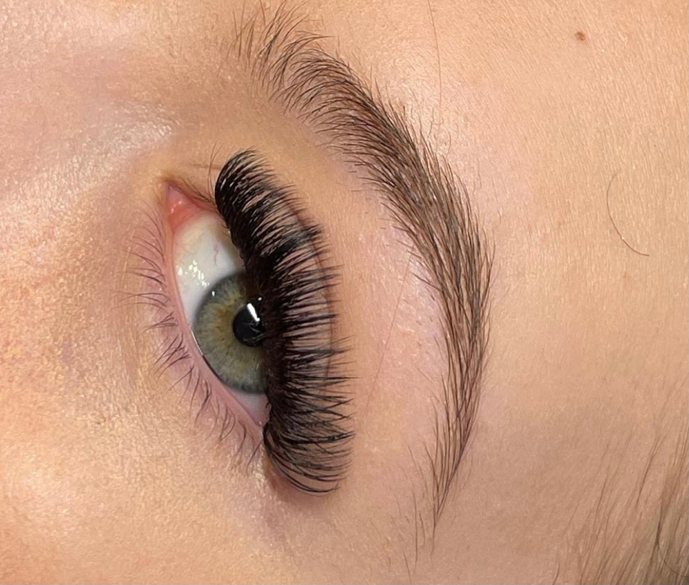 Volume Lash Full Set