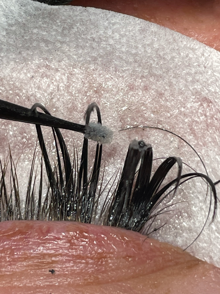 Lash Removal