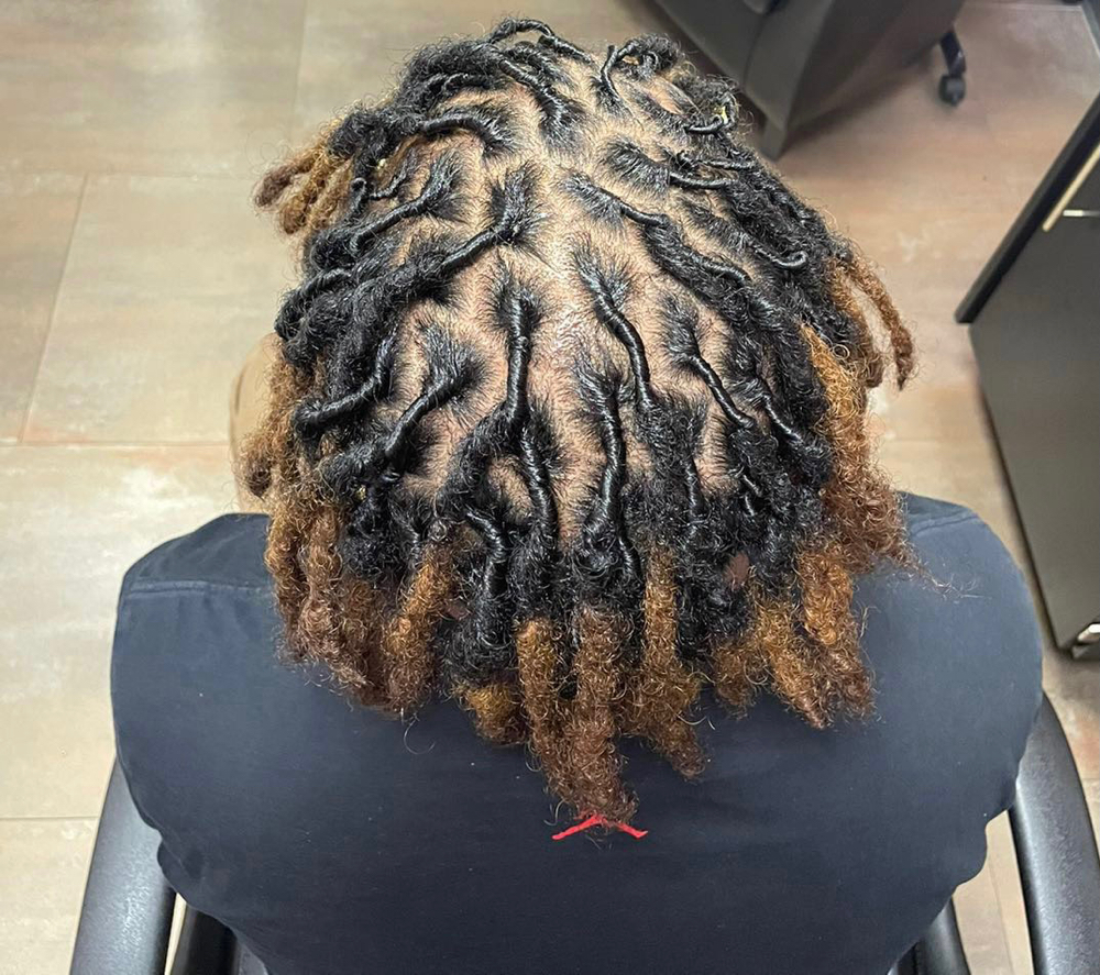 Starter Locs