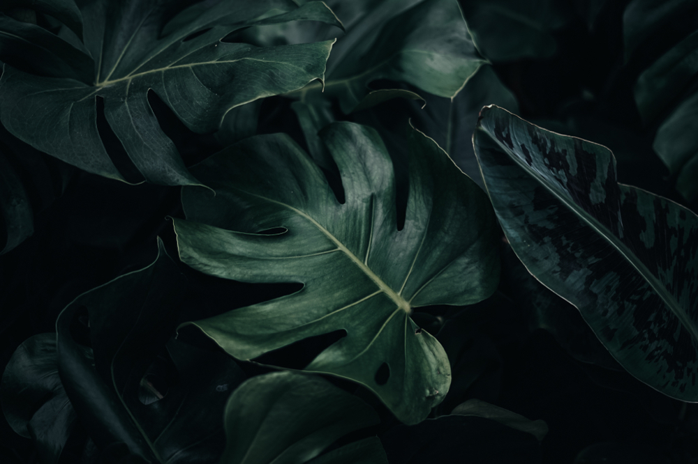 120 Min. Deep Tissue