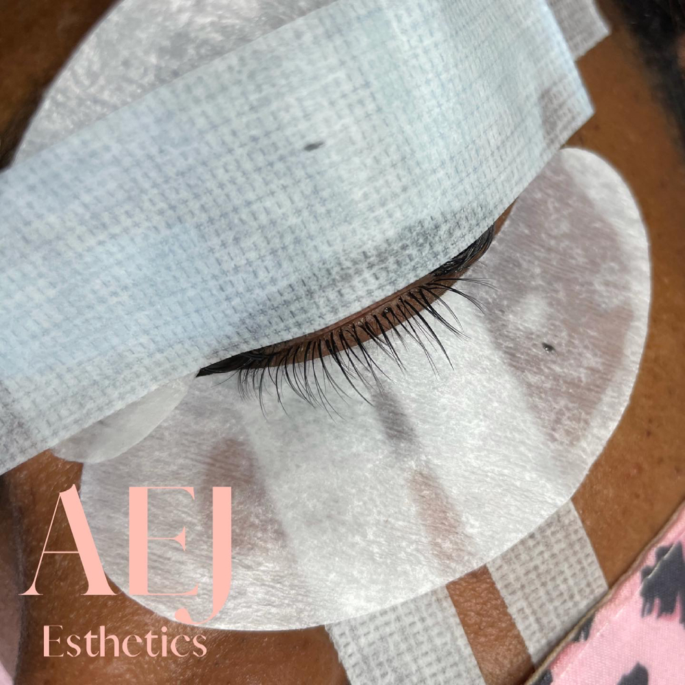 Bottom Lashes