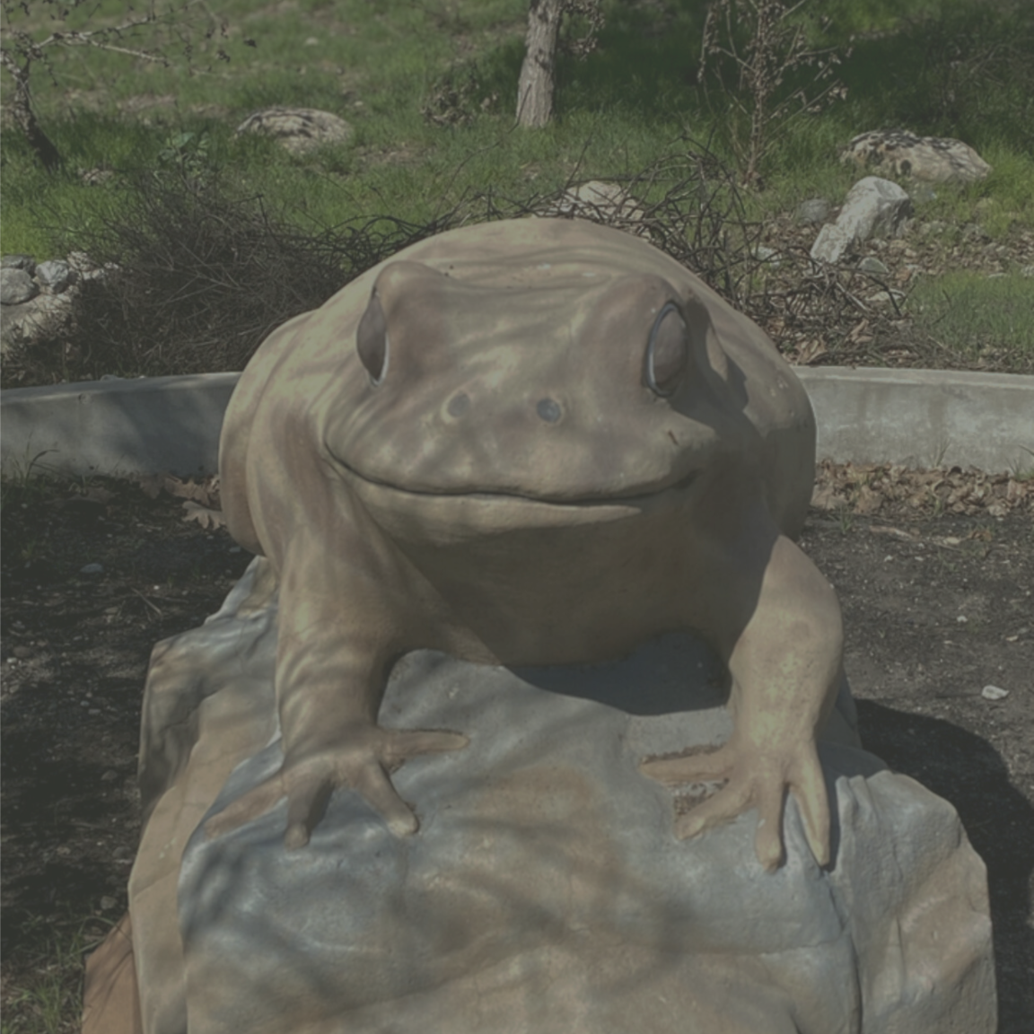 Consultation at Starlit Studio in Monrovia, CA