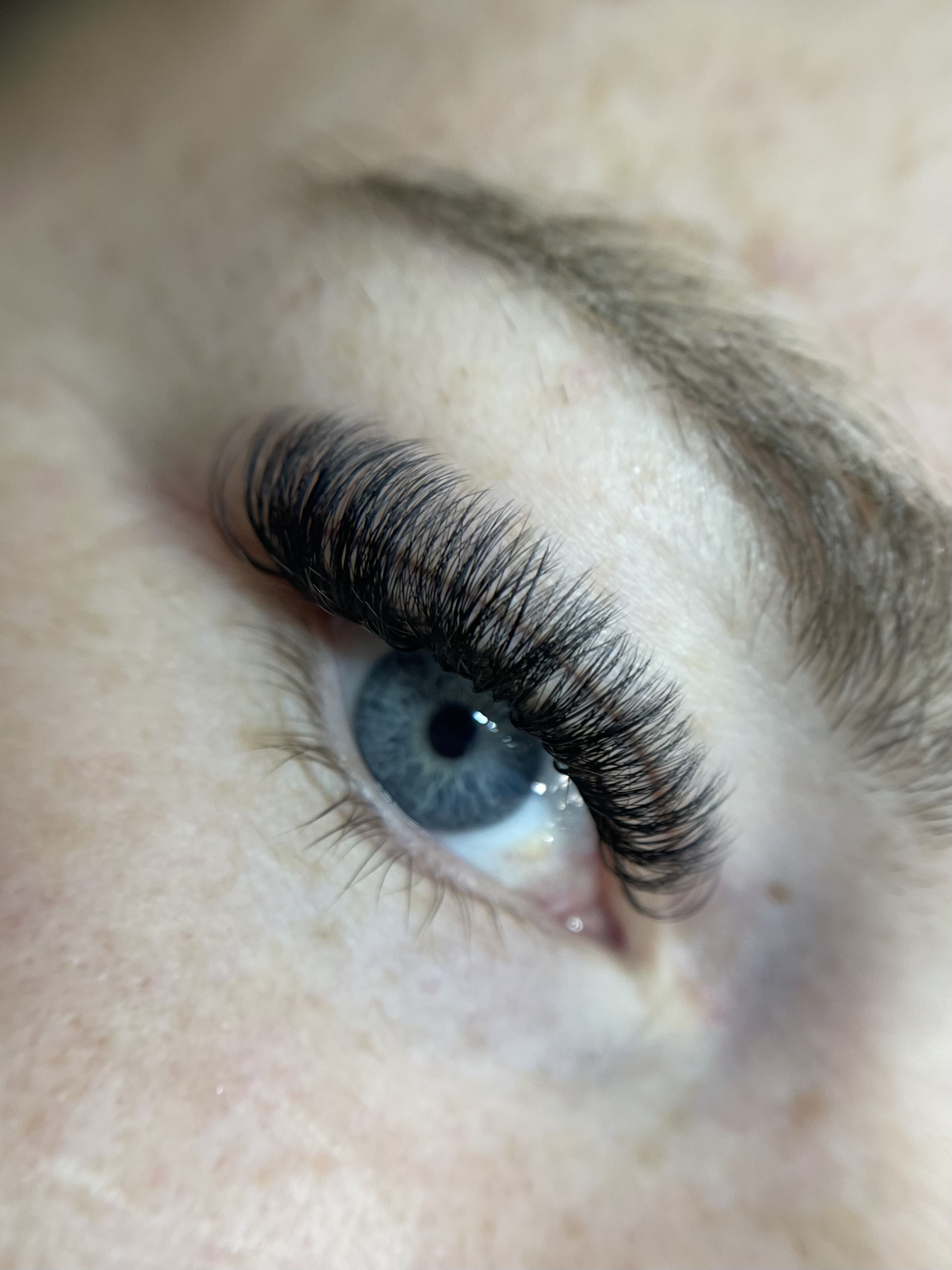 THE VOLUME MINI FILL at Forever Lashed in Norman, OK