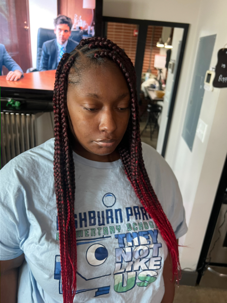 M | Box Braids or Passion Twists at BOOKwSNOOK in Roanoke, VA