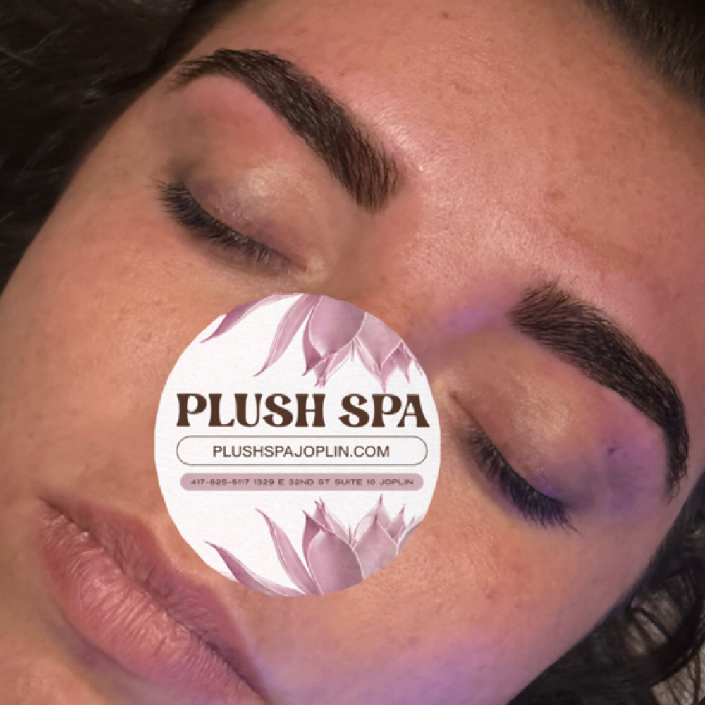 Brow Trio-Lami/tint/wax at Plush Spa in Joplin, MO