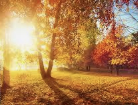 Fall Mini Reset Package