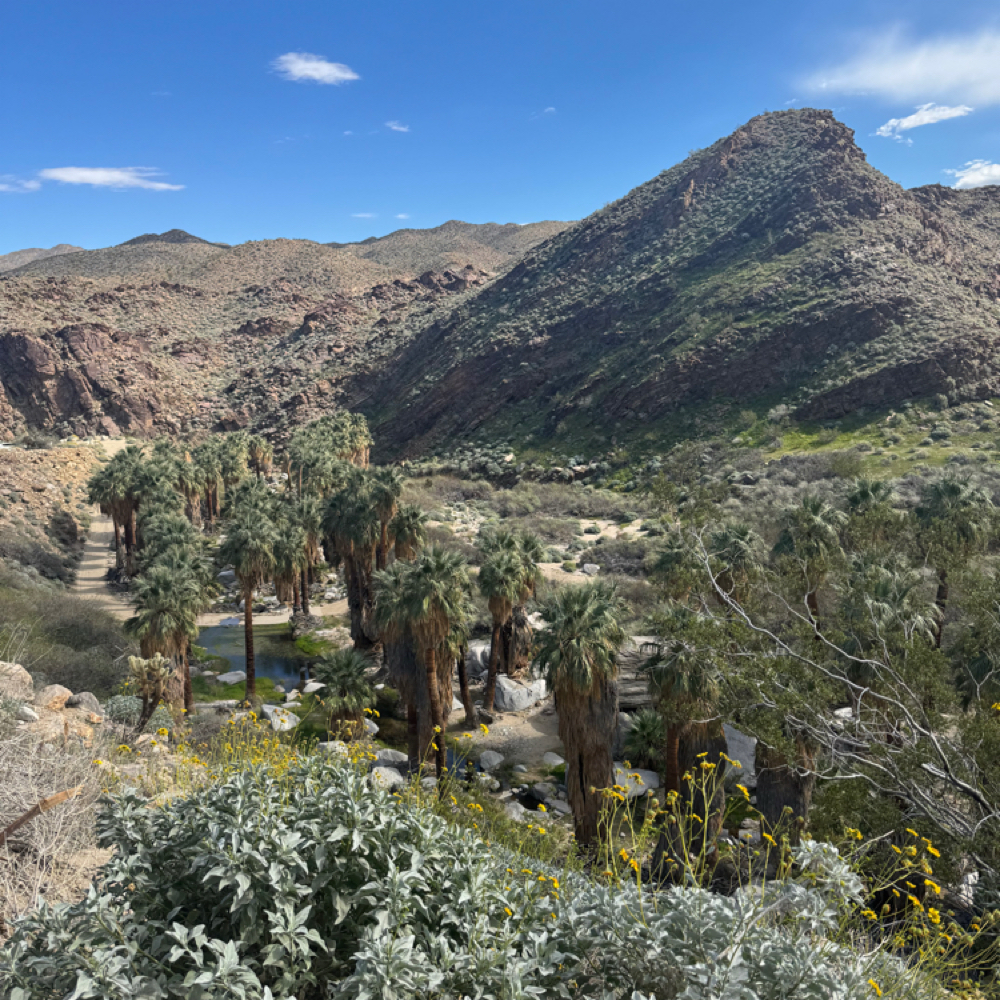 Dry Or Wet Cut (no style) at Indigo Salon @ Beaumont in Lexington, KY