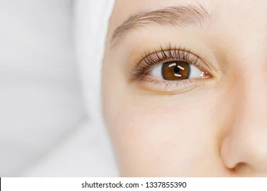 Lash Tint
