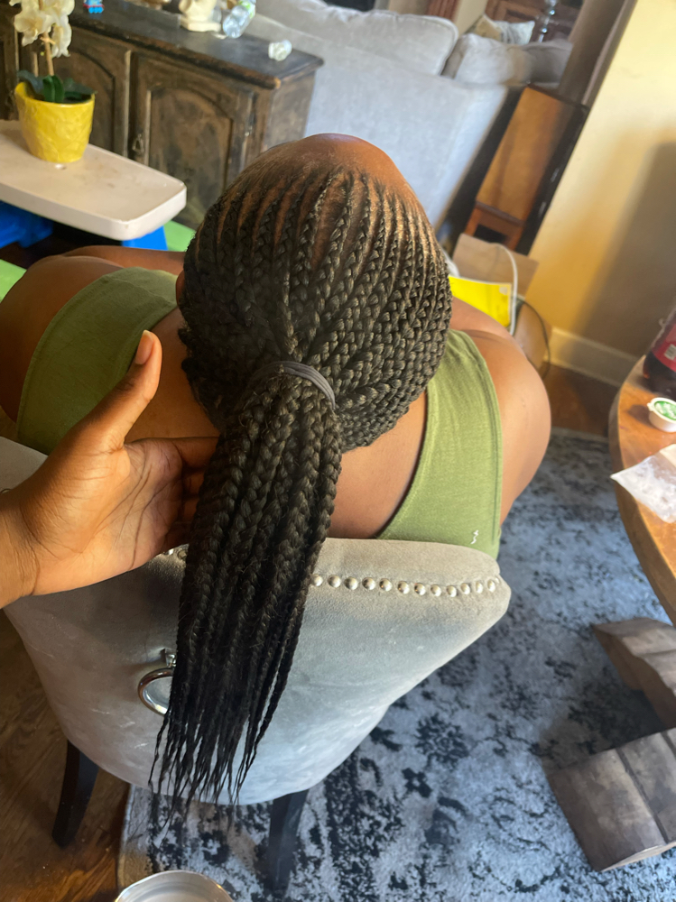 Full Ponytails