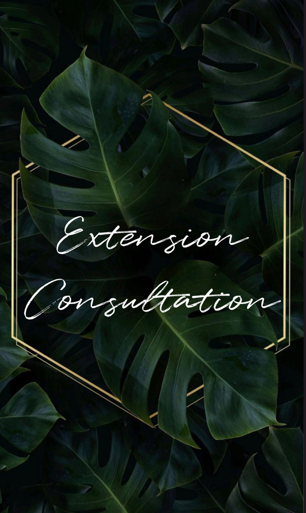 Extension Consultation