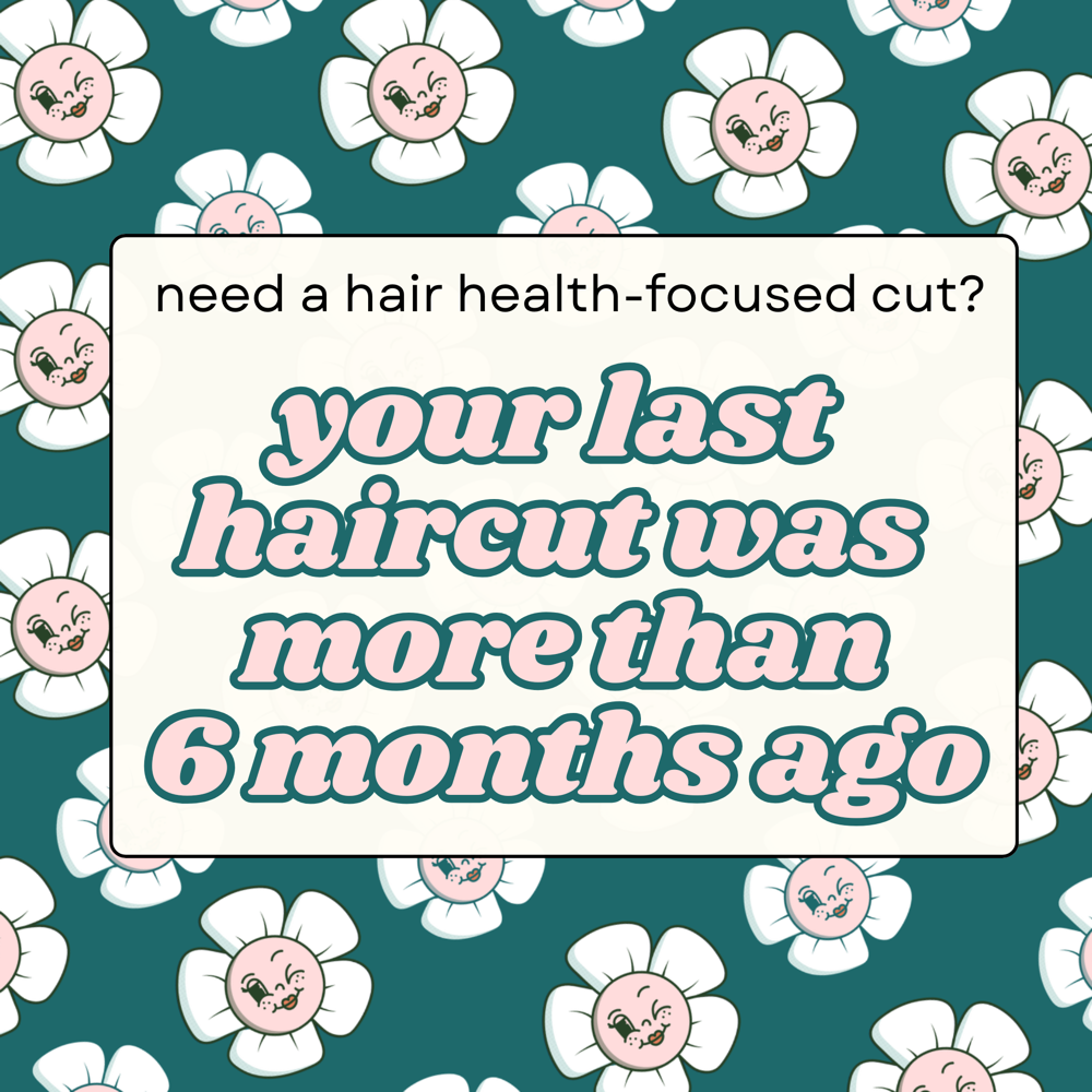 treatment + haircut + style