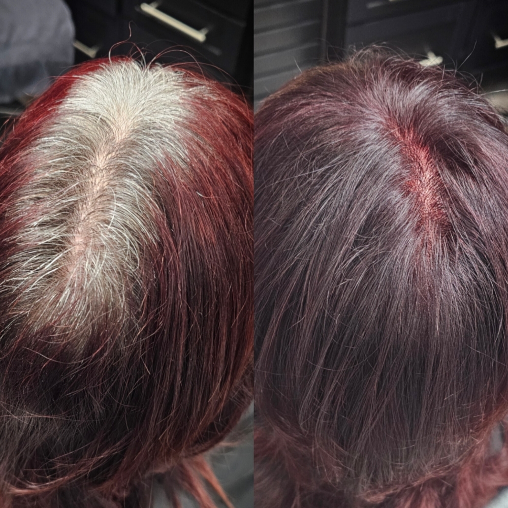Color Touch Up at Hair By Jacki Roberts in Westland, MI