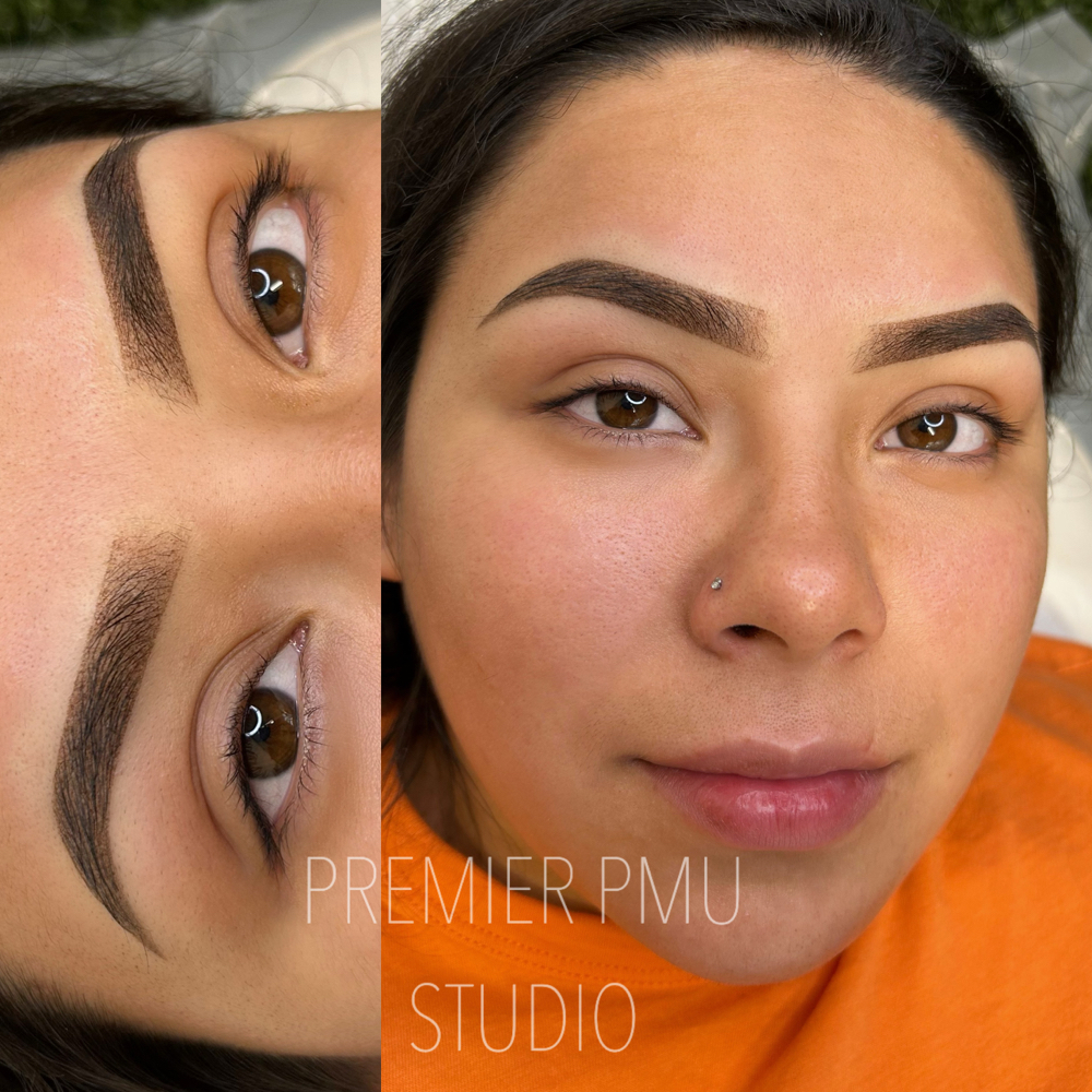 Ombre Powder Brow- INITIAL Session