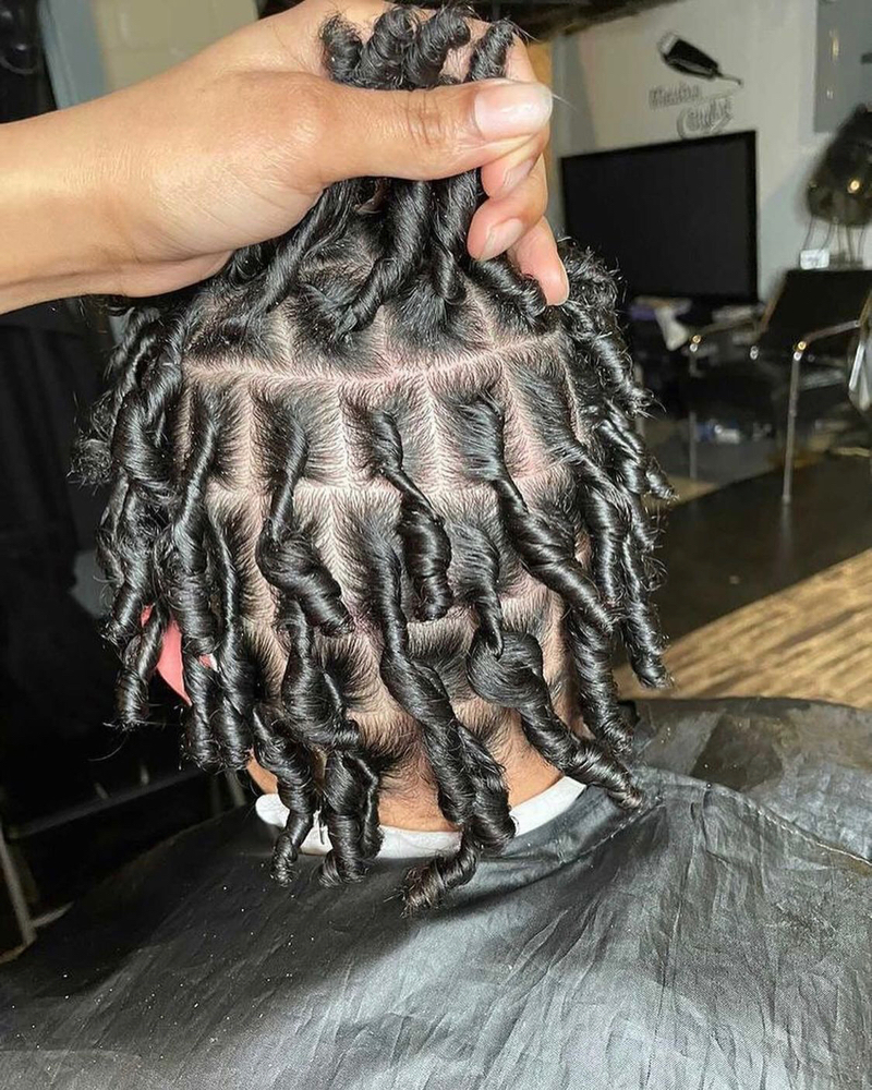 Starter Locs