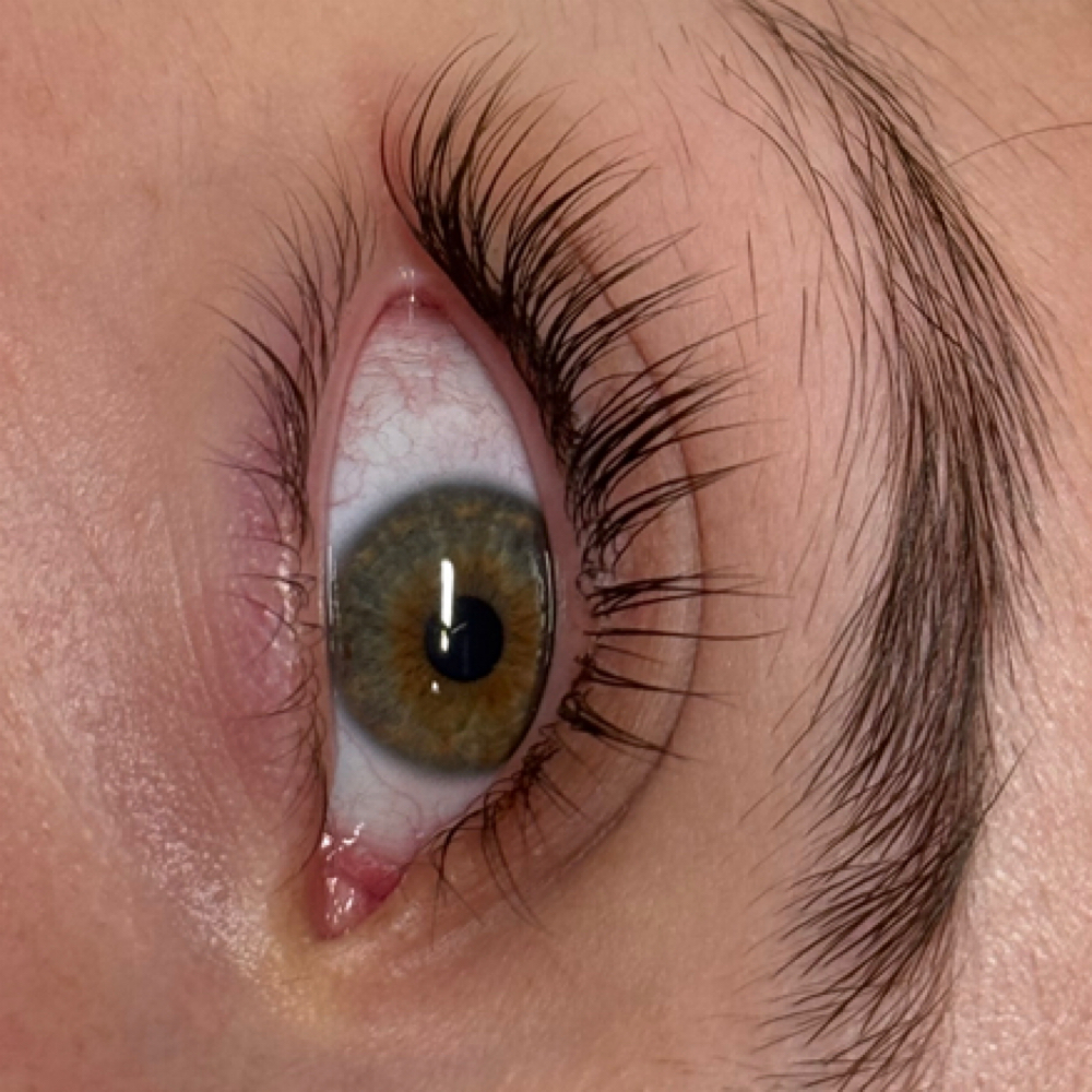 Korean Lash Lift + tint at Miralash in gilbert, AZ