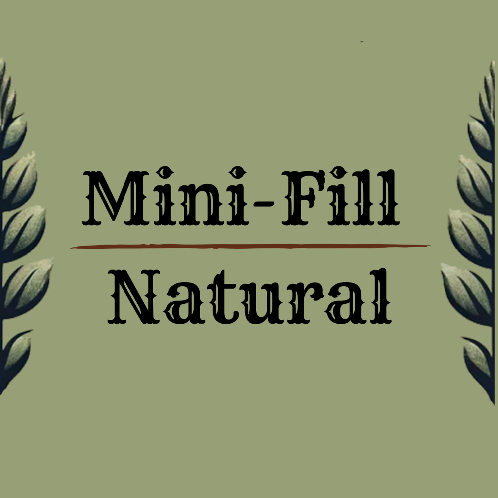 Mini-Fill - Natural at Lashes at The Rusty Hill in Idaho Falls, ID