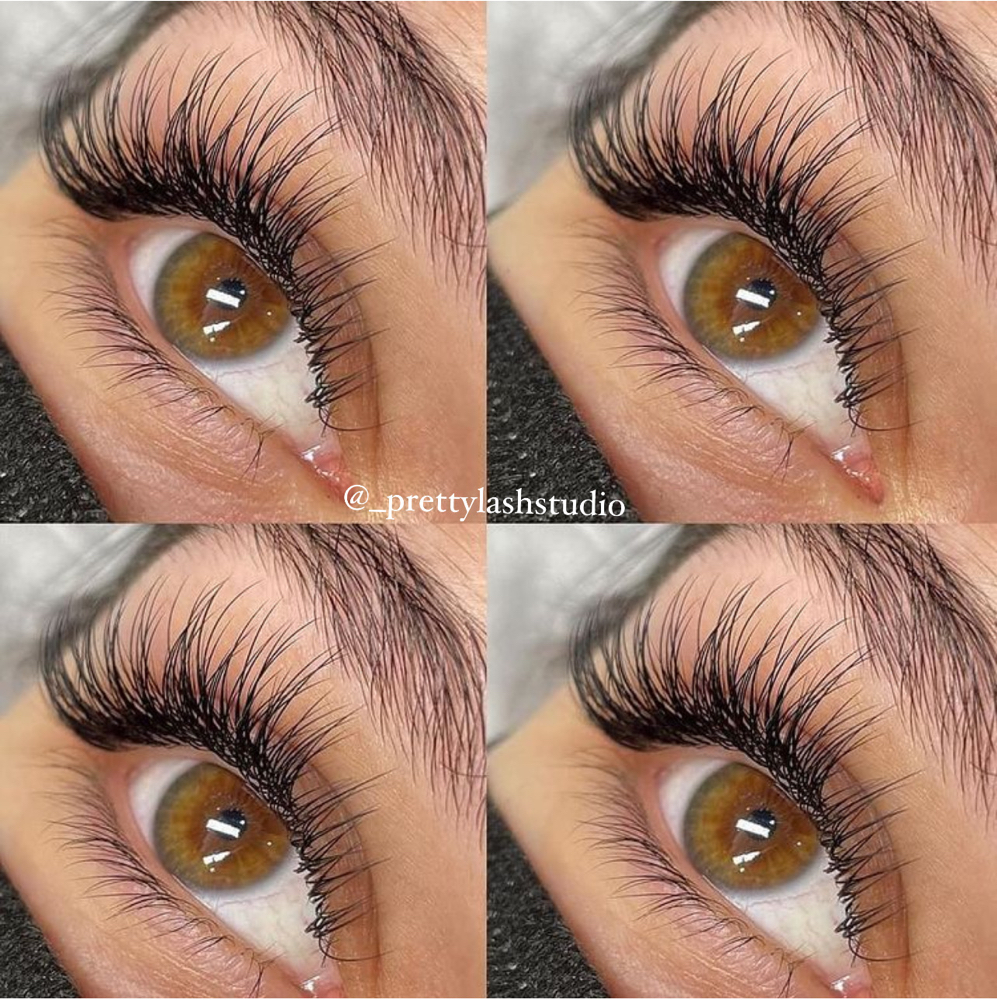 Classic Lash Infill 2 Weeks